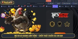 Mẹo Đá Gà XOSO66 Luôn Thắng