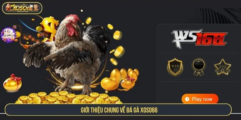 Tổng quan sảnh đá gà XOSO66