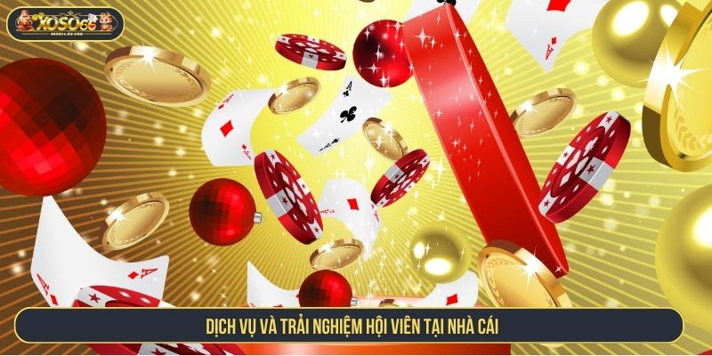Dịch vụ và trải nghiệm hội viên tại nhà cái