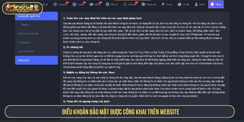 Điều khoản bảo mật được công khai trên website