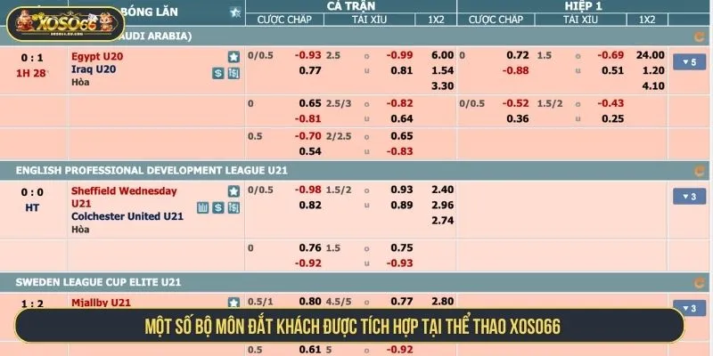 Một số bộ môn đắt khách được tích hợp tại thể thao XOSO66
