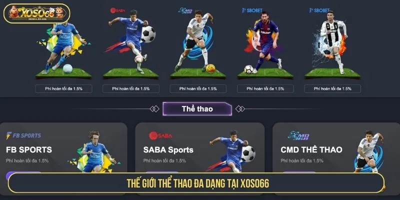 Thế giới thể thao đa dạng tại XOSO66