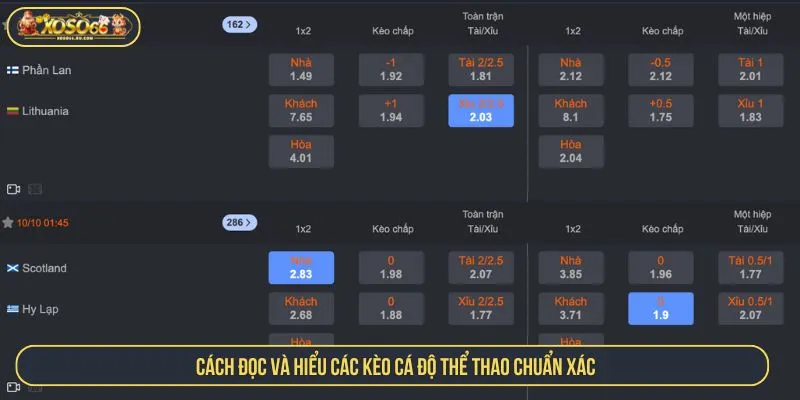 Đọc Các Kèo Cá Cược Thể Thao Chuẩn, Chơi Dễ Ăn Tiền Cách đọc và hiểu các kèo cá độ thể thao chuẩn xác