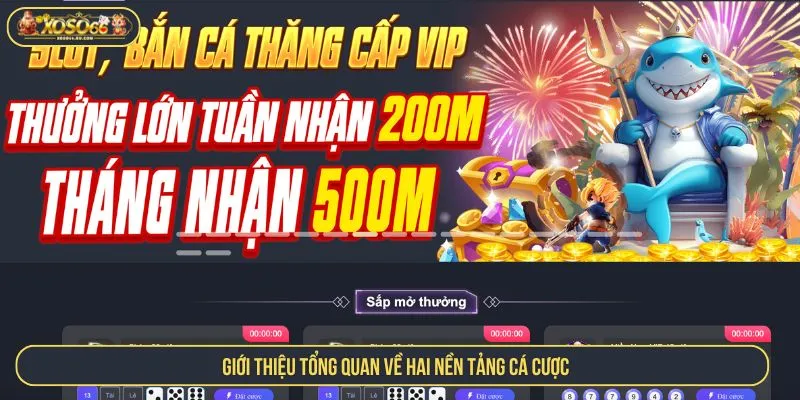 Giới thiệu tổng quan về hai nền tảng cá cược