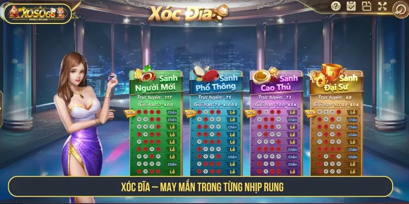 Xóc Đĩa – May mắn trong từng nhịp rung